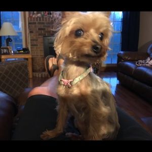 Meet your Posher, Edward